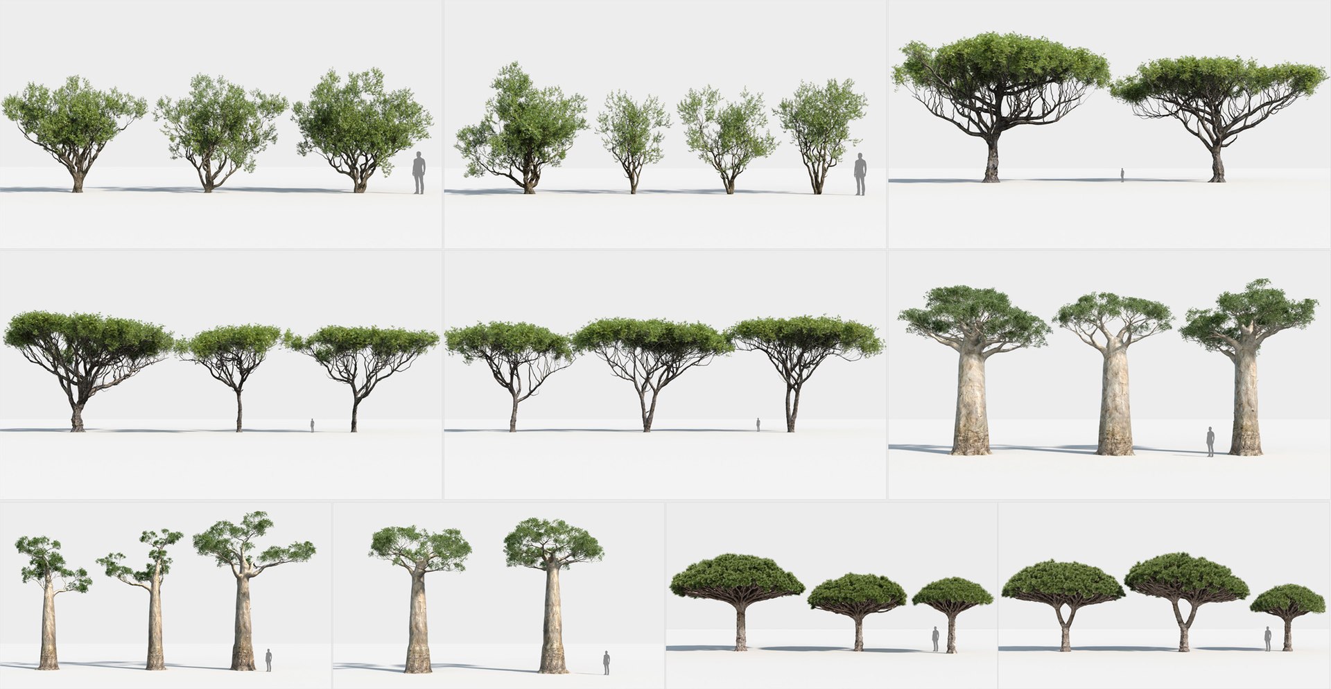 plants africa trees growfx model https://p.turbosquid.com/ts-thumb/ID/0qWPVM/YvYnUlkt/africa_trees1b/jpg/1585072201/1920x1080/fit_q87/ed3f2d19927a964d5131a24d27b6c259f6134c6e/africa_trees1b.jpg