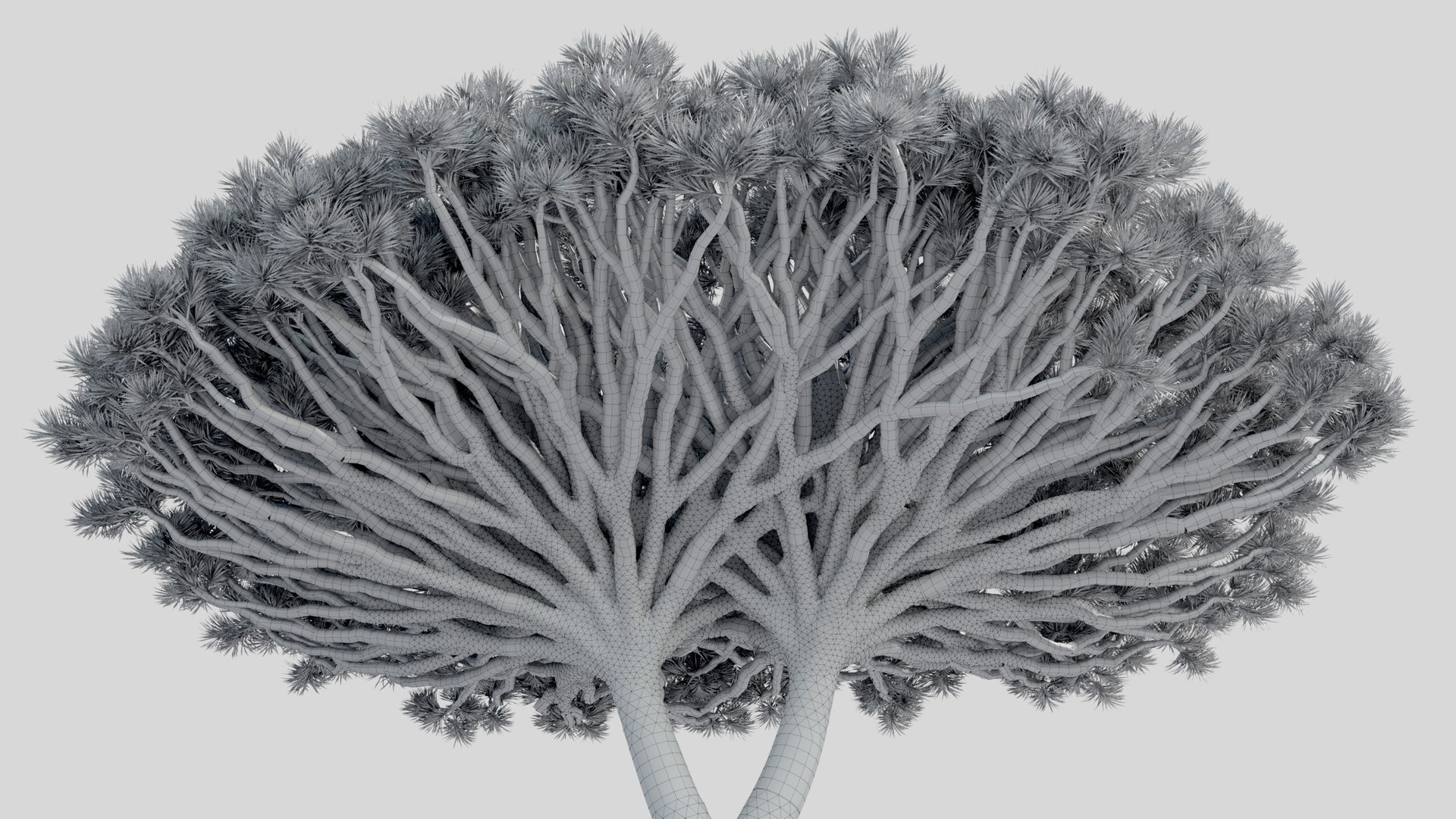 plants africa trees growfx model https://p.turbosquid.com/ts-thumb/ID/0qWPVM/i9uSQAr8/africa_trees18/jpg/1582898979/1920x1080/fit_q87/3a4ba27917aefe56e23edcb2f1e1954bf01c2353/africa_trees18.jpg