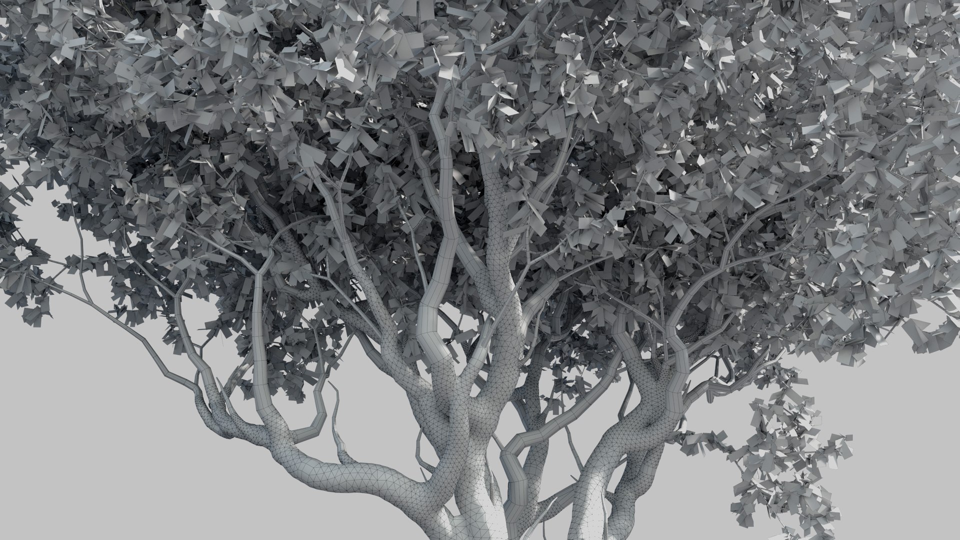 plants africa trees growfx model https://p.turbosquid.com/ts-thumb/ID/0qWPVM/nHdIUMjh/africa_trees16/jpg/1582898979/1920x1080/fit_q87/4af936ea37fed60e0656d951c6205182bb5bff31/africa_trees16.jpg