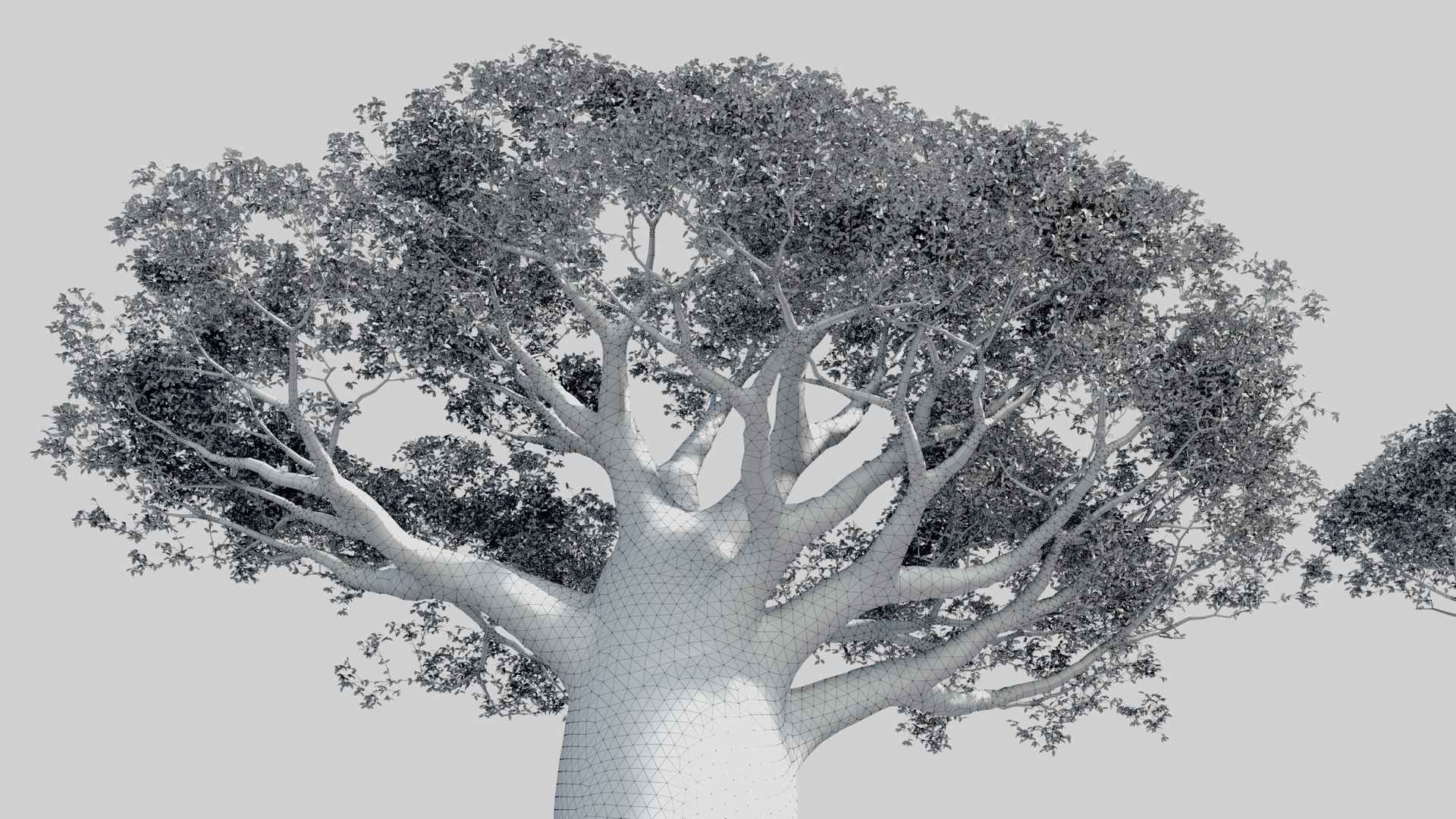 plants africa trees growfx model https://p.turbosquid.com/ts-thumb/ID/0qWPVM/vkfV1T1A/africa_trees19/jpg/1582898979/1920x1080/fit_q87/9afe65f4b8b49b11be2f2abea7e7972b2ad603c4/africa_trees19.jpg