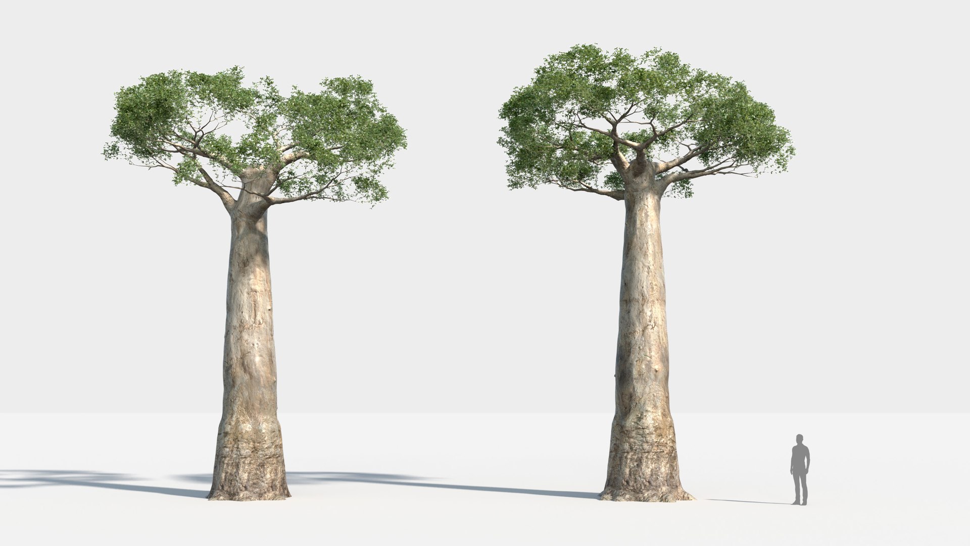 plants africa trees growfx model https://p.turbosquid.com/ts-thumb/ID/0qWPVM/w4gHMksW/africa_trees11/jpg/1582898946/1920x1080/fit_q87/563b8c3bb73c82137adbf944d14ab34cbb23f1cd/africa_trees11.jpg
