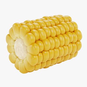 Corn Cob 1 3D