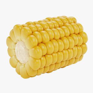 Corn Cob 1