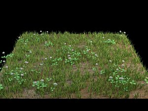 grass flowers ground