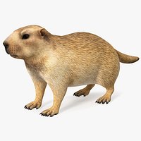 Marmot Rigged for Maya