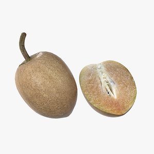 Sapodilla Fruit 3D model