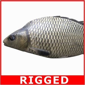 Carp