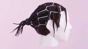 ASAP Rocky Styled Braids