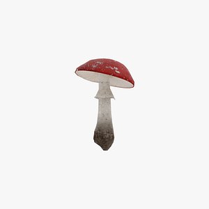 3D model Mushroom Amanita