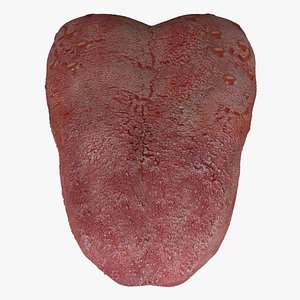 Tongue
