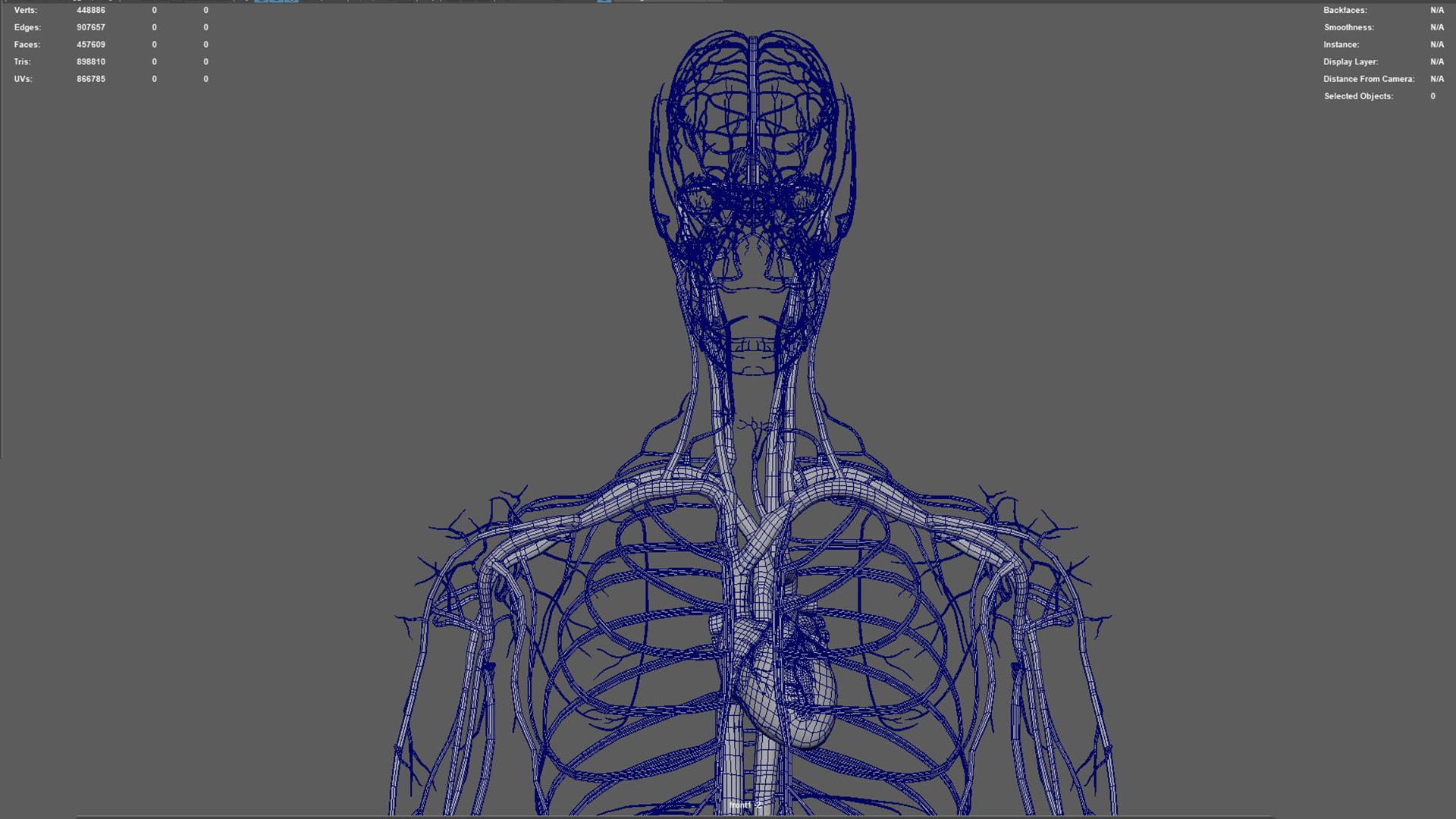 Human Natural Body With Circulatory System With Heart model https://p.turbosquid.com/ts-thumb/ID/o7SXCu/01/circulatorysystemwithheart02/jpg/1657881779/1920x1080/fit_q87/8325a9b00bcfeb53fb7c1c7ff4352c57a07631ec/circulatorysystemwithheart02.jpg