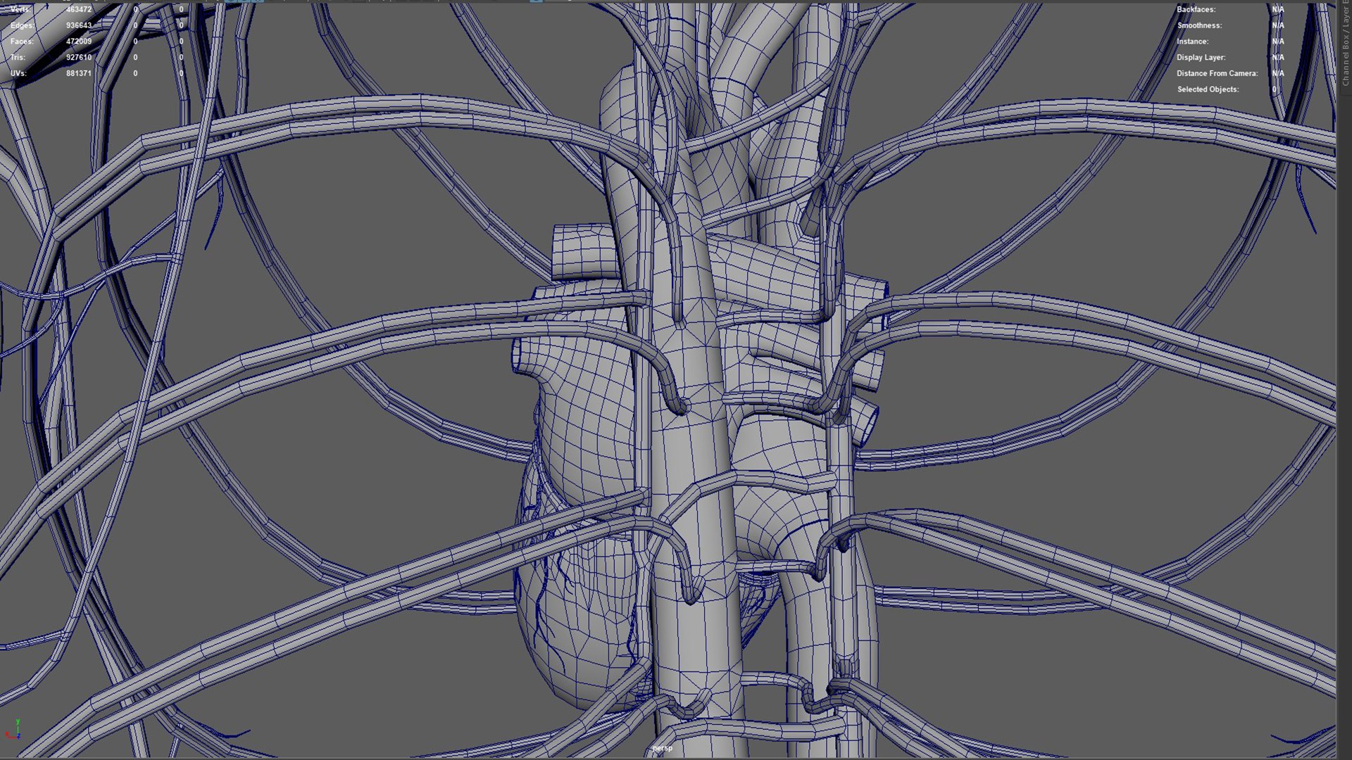 Human Natural Body With Circulatory System With Heart model https://p.turbosquid.com/ts-thumb/ID/o7SXCu/A4/circulatorysystemwithheart07/jpg/1657881785/1920x1080/fit_q87/77d83296a2197c2545ab057e43d2fb1fbbd385b9/circulatorysystemwithheart07.jpg