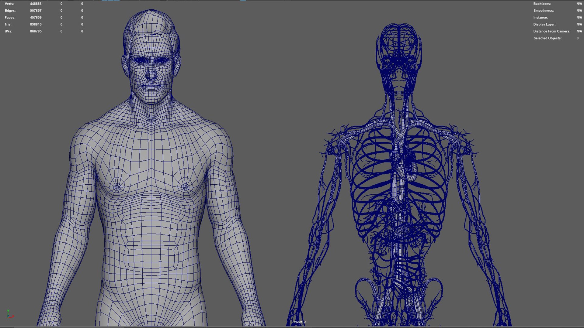 Human Natural Body With Circulatory System With Heart model https://p.turbosquid.com/ts-thumb/ID/o7SXCu/CK/circulatorysystemwithheart01/jpg/1657881778/1920x1080/fit_q87/528feab1b40becaa5bd10ef81260dafb367fa5ff/circulatorysystemwithheart01.jpg