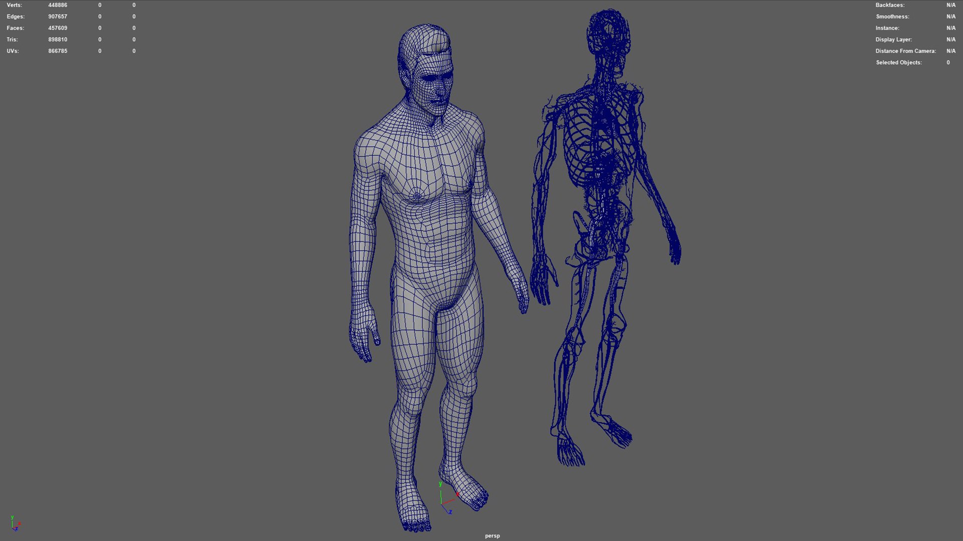 Human Natural Body With Circulatory System With Heart model https://p.turbosquid.com/ts-thumb/ID/o7SXCu/dt/circulatorysystemwithheart05/jpg/1657881781/1920x1080/fit_q87/90ad062cfce70c44beb6b7c2c97b30be9456c38d/circulatorysystemwithheart05.jpg