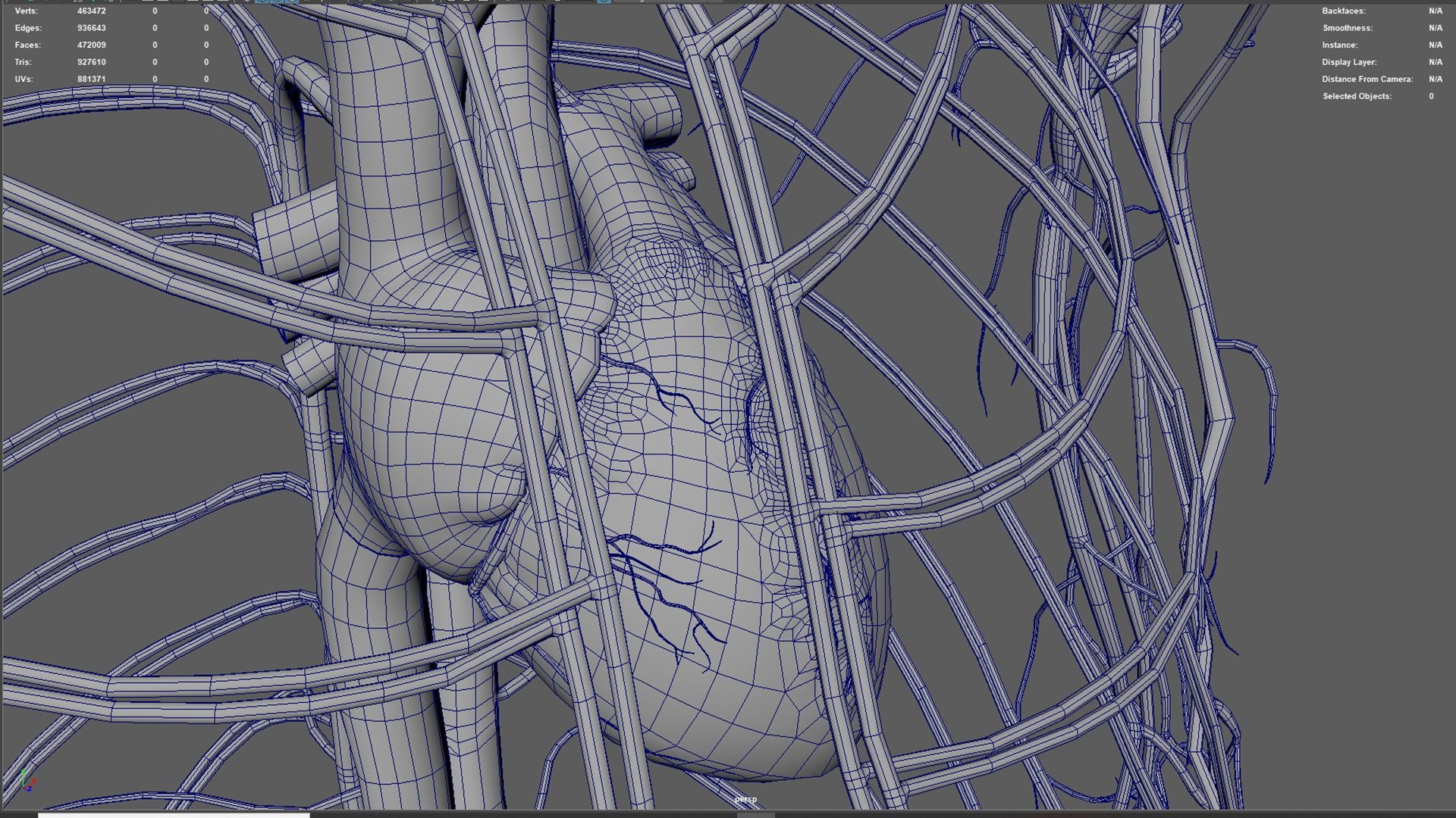 Human Natural Body With Circulatory System With Heart model https://p.turbosquid.com/ts-thumb/ID/o7SXCu/tO/circulatorysystemwithheart08/jpg/1657881786/1920x1080/fit_q87/df56f2f357cc32c6967412aa75675514c9d16391/circulatorysystemwithheart08.jpg