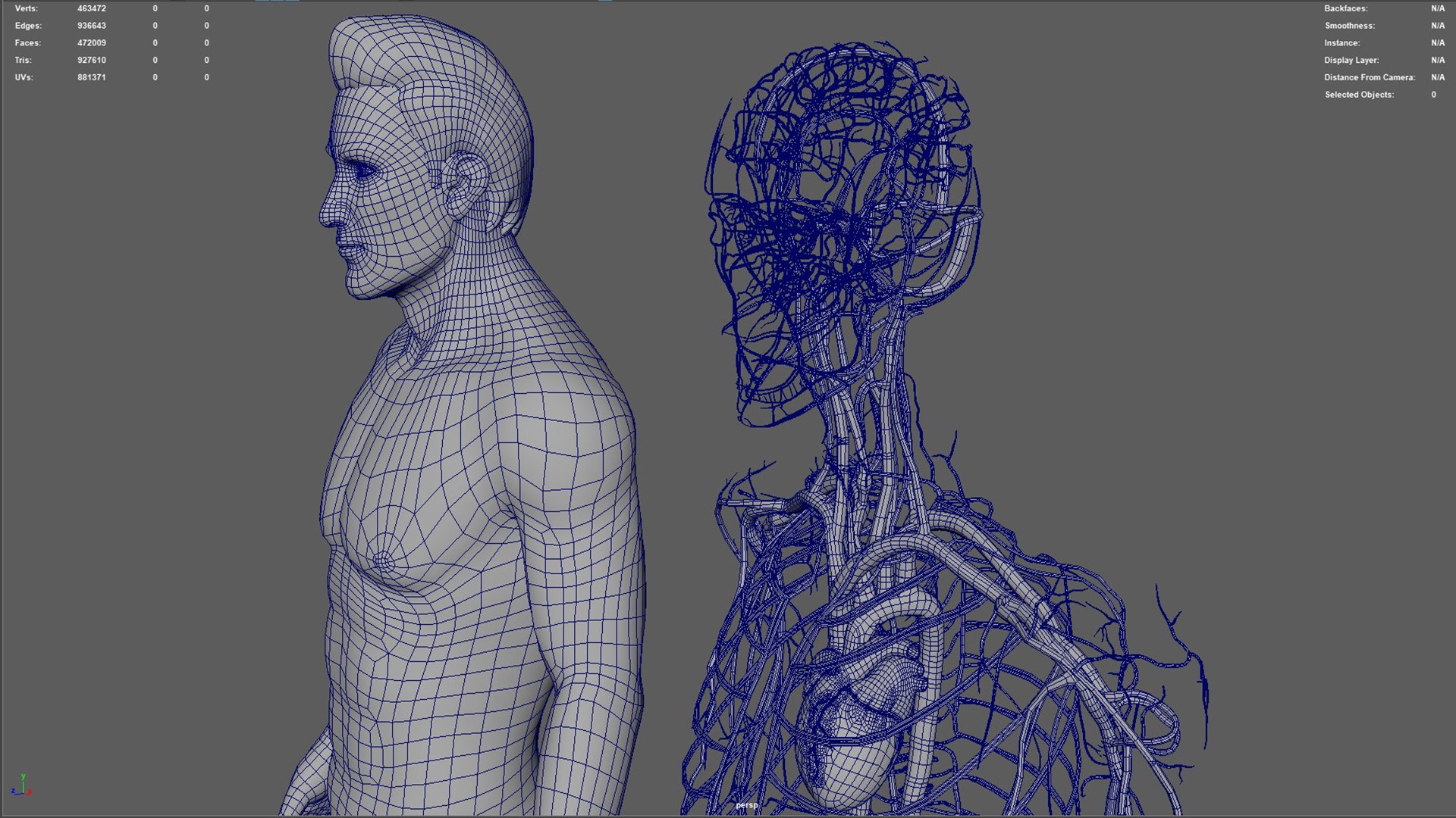 Human Natural Body With Circulatory System With Heart model https://p.turbosquid.com/ts-thumb/ID/o7SXCu/uY/circulatorysystemwithheart06/jpg/1657881784/1920x1080/fit_q87/737b0da4c47b480b910dbbc55e4b679c42fd45be/circulatorysystemwithheart06.jpg
