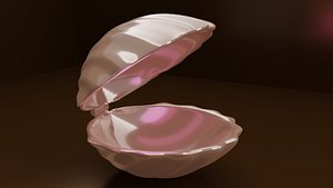 shell pearl 3D