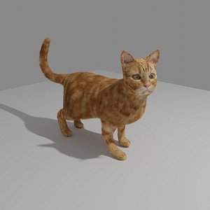 cat 3D
