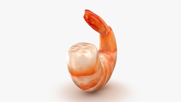 3D Shrimp model - TurboSquid 2042771