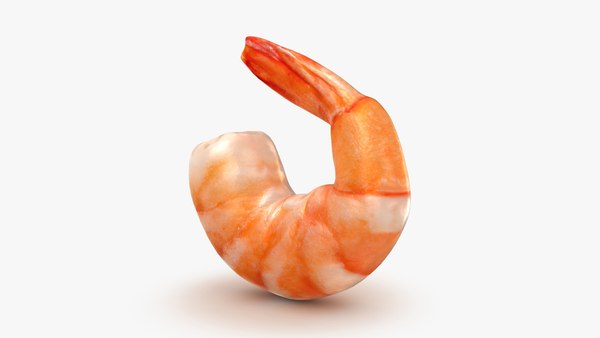 3D Shrimp Model - TurboSquid 2042771