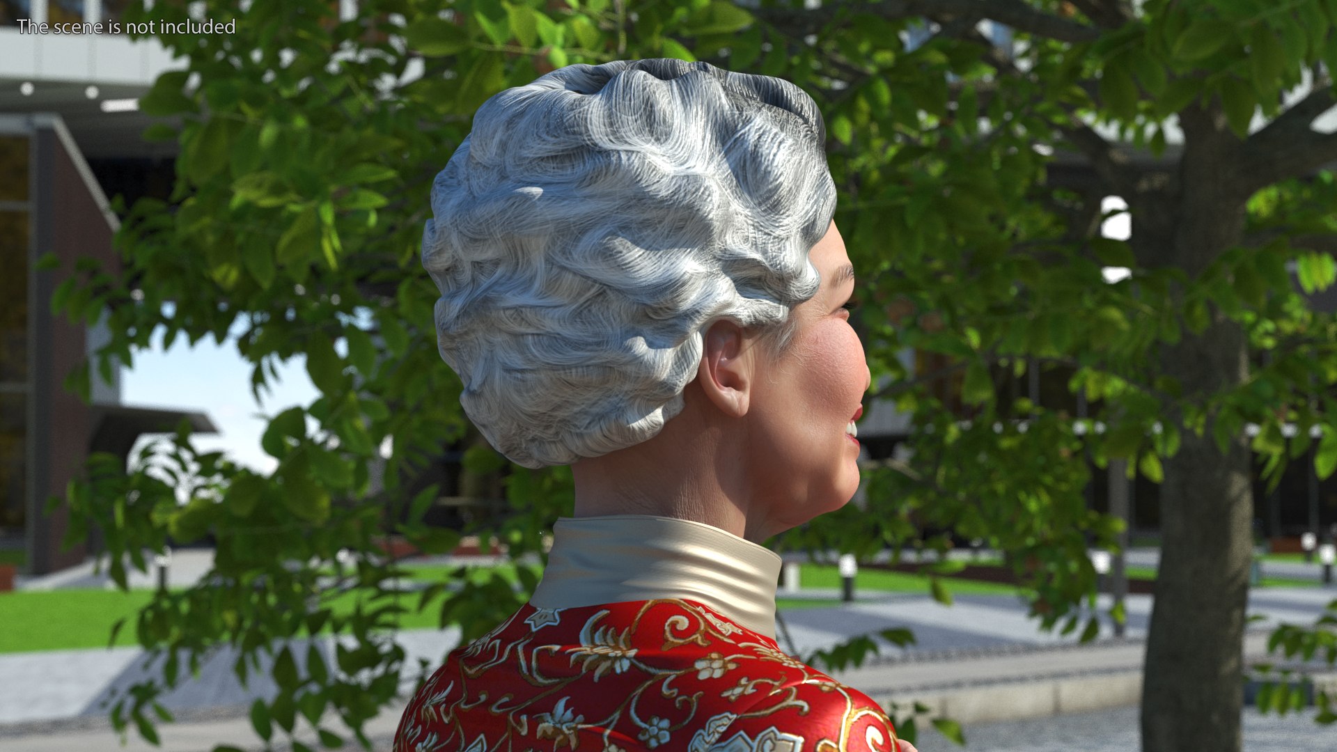 Chinese Elderly Woman Formal Wear Rigged Model - TurboSquid 2083659