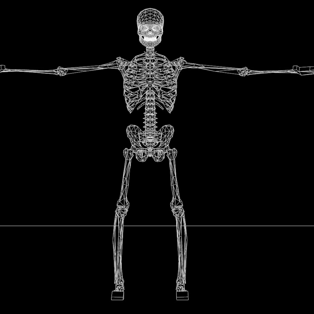 Human Skeleton 24 Animations 3d 3ds