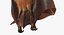 hanging bat fur 3d model