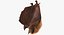 hanging bat fur 3d model