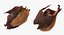hanging bat fur 3d model