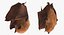 hanging bat fur 3d model