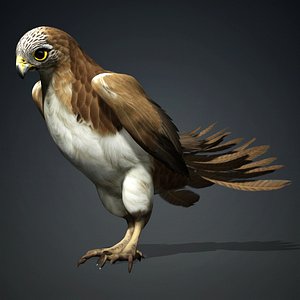3D model Kestrel-B4