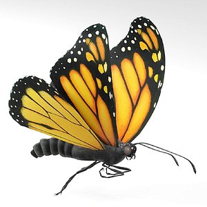 Fully Rigged Animated Realistic Fluttering Butterfly 3D model