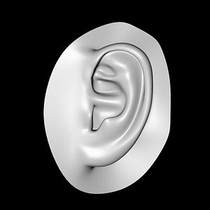 human ear dxf