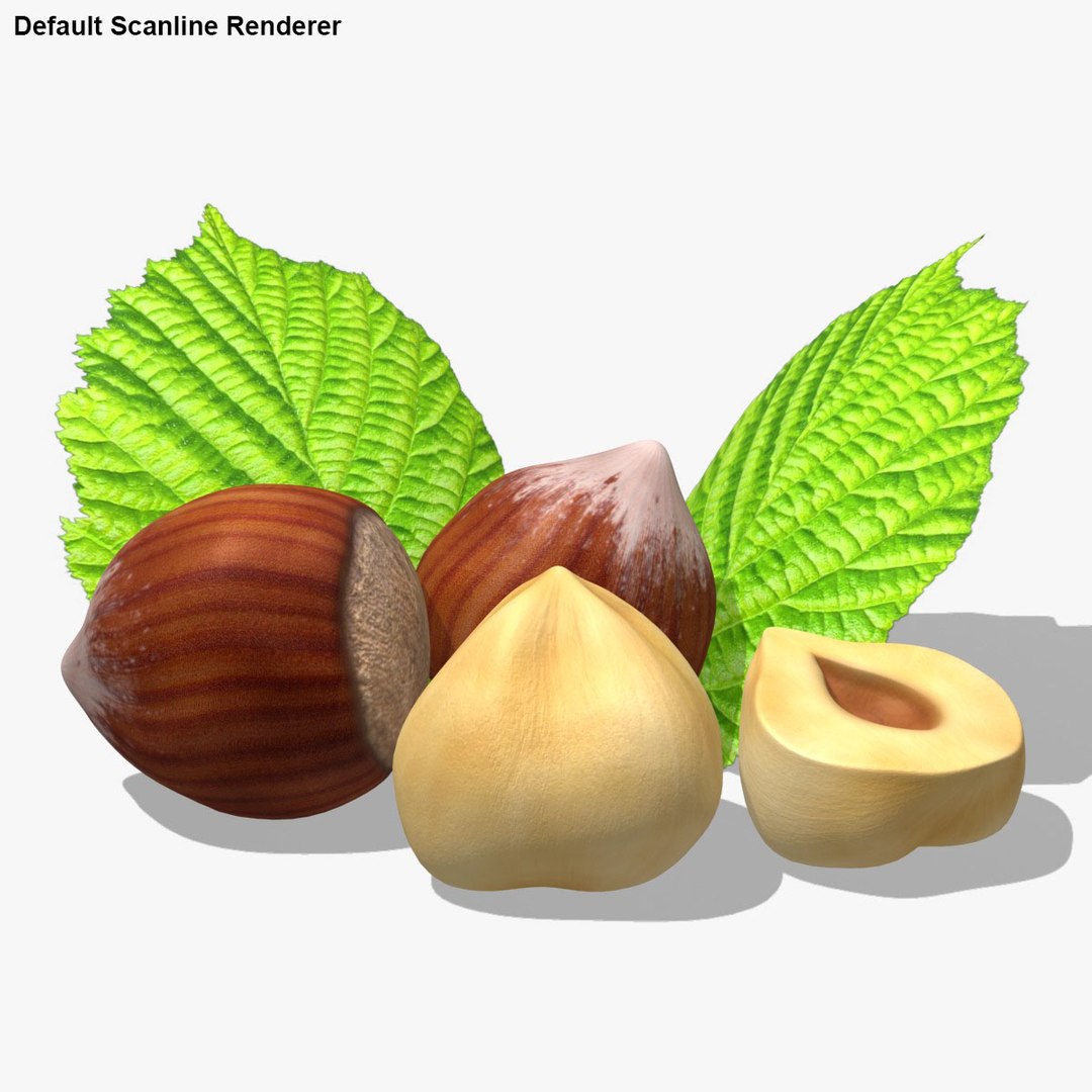 hazelnut scanline 3d model https://p.turbosquid.com/ts-thumb/IE/ekW2Wv/3Ma76qHm/25/jpg/1490439874/1920x1080/fit_q87/17c64a2be3b2778cbb4a435e9685d94bbc0c2ad9/25.jpg