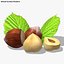 Hazelnut