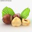 Hazelnut