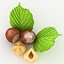 Hazelnut
