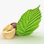 Hazelnut