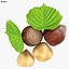 Hazelnut