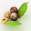Hazelnut