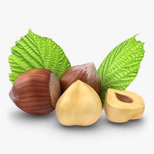 Hazelnut