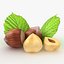 Hazelnut