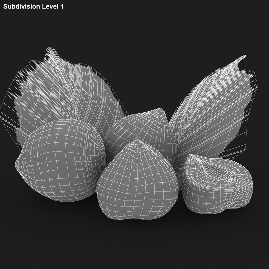 hazelnut scanline 3d model https://p.turbosquid.com/ts-thumb/IE/ekW2Wv/k8r3cDvU/21/jpg/1490439874/1920x1080/fit_q87/497da9451d5e2cd9004e6f54f4cbd13f1811f921/21.jpg