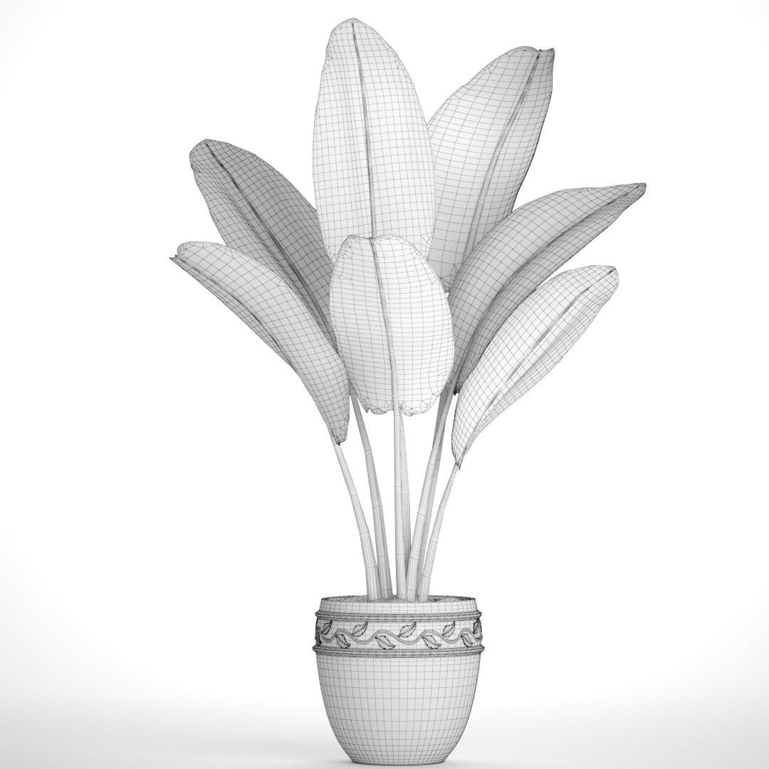 ravenala palm model https://p.turbosquid.com/ts-thumb/IE/kdYMfV/aqj9ybVv/ravenalabush09/jpg/1505651523/1920x1080/fit_q87/8e026bb38f38752712318abd9a36b3f364ee7628/ravenalabush09.jpg