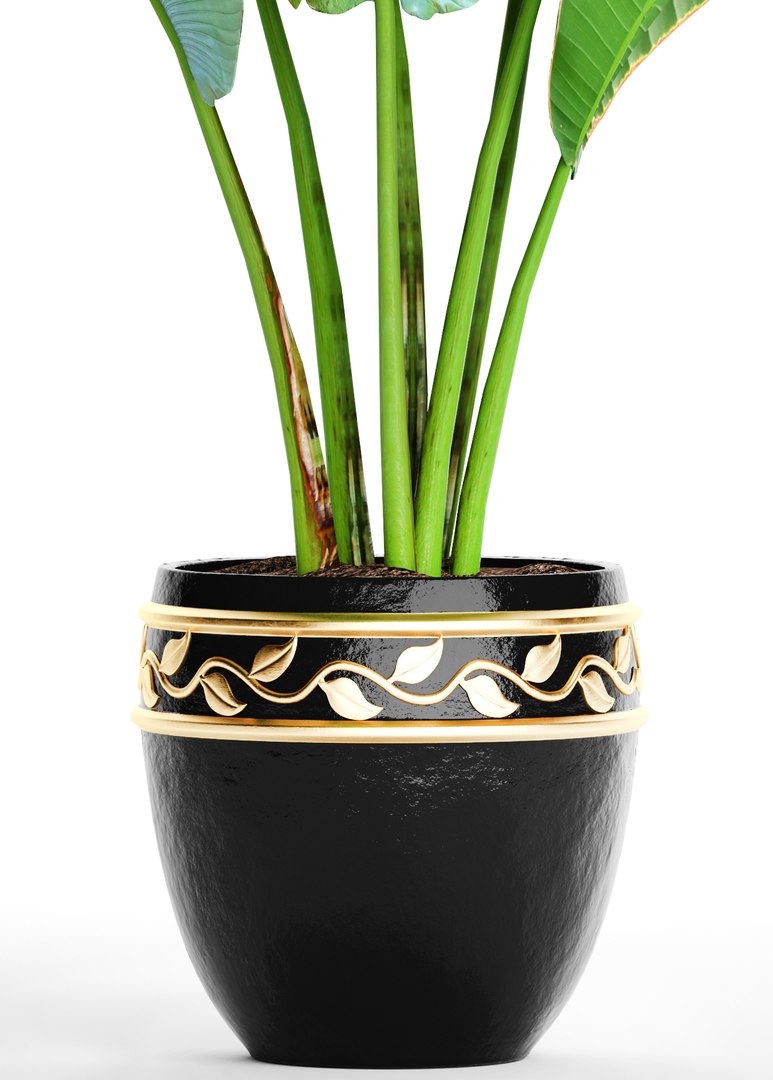 ravenala palm model https://p.turbosquid.com/ts-thumb/IE/kdYMfV/fxbuCR05/ravenalabush06/jpg/1505651523/1920x1080/fit_q87/57c2c0249c5445452c4548b48c0c6016b3b263f9/ravenalabush06.jpg