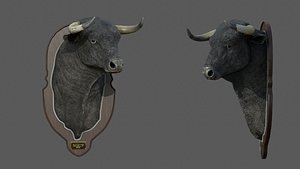 spanish bull head trophy 3D model