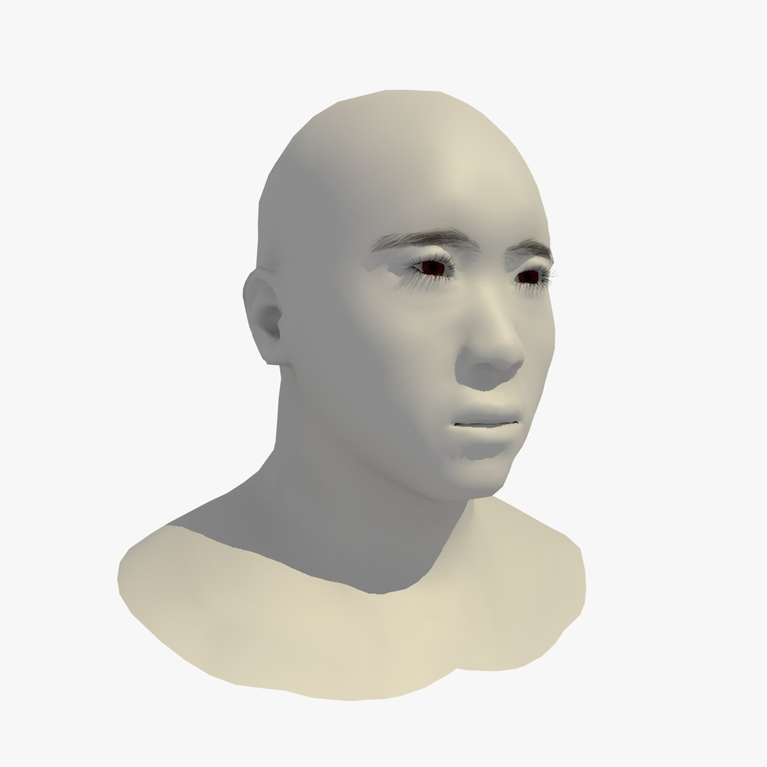 3D Model Realistic Head Base Mesh TurboSquid 1438859
