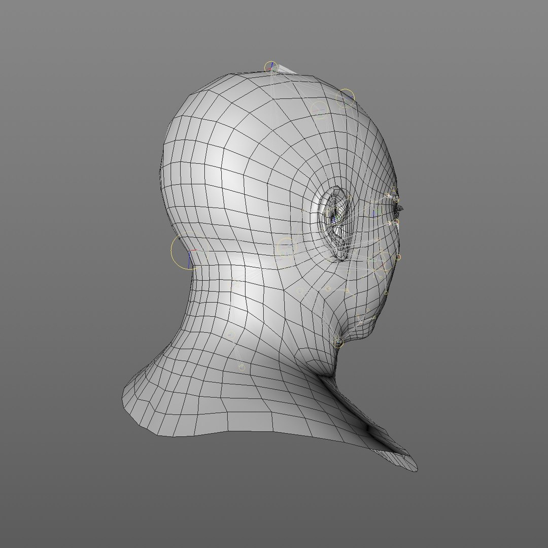 3D model realistic head base mesh https://p.turbosquid.com/ts-thumb/IF/GTiSU1/Vop6d8oH/45yrmidageasianmanhead2_0008/jpg/1566349180/1920x1080/fit_q87/6d4220d7d7f2098017d36952691b6dd572a48043/45yrmidageasianmanhead2_0008.jpg