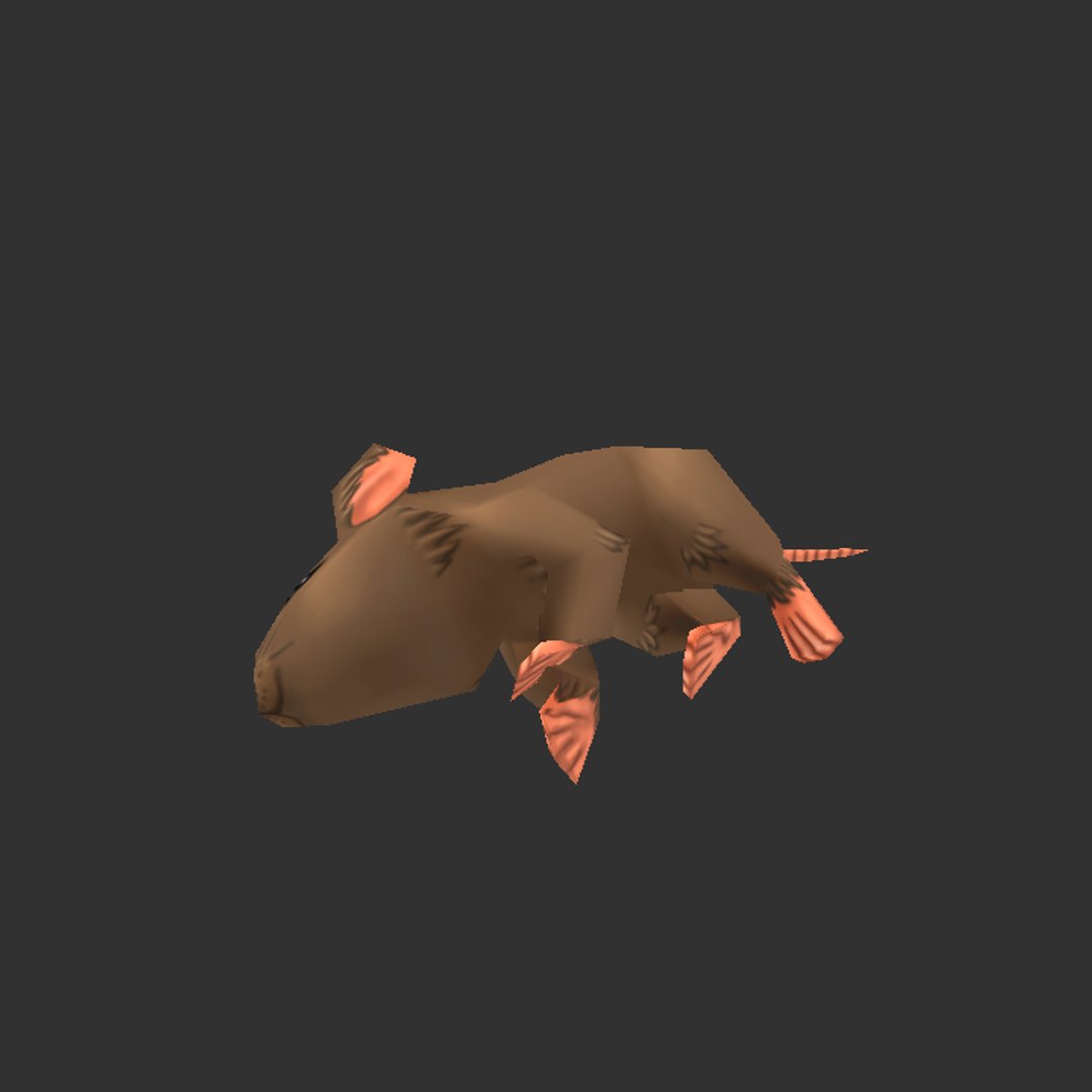 hand painted rat 3D model https://p.turbosquid.com/ts-thumb/IF/JvIIw8/H3xMDZuf/ss_date372017_time0337/png/1503280415/1920x1080/fit_q87/858e69508cdb674e7cb9af153ae310ea3981be41/ss_date372017_time0337.jpg