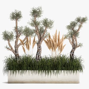 Plants for outdoor and landscaping 1065 3D model